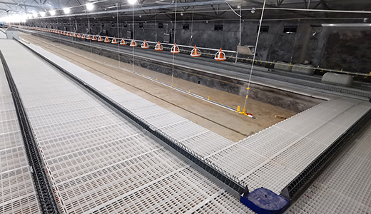 南通正大东凌18万套肉种鸡项目